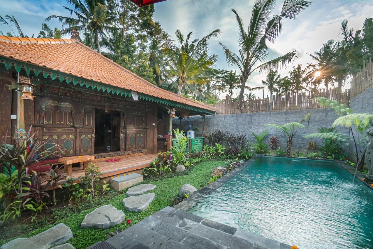The Forest Batu Kurung Ubud エクステリア 写真